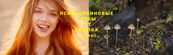 марки lsd Баксан