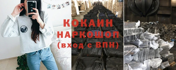 прущие грибы Сафоново