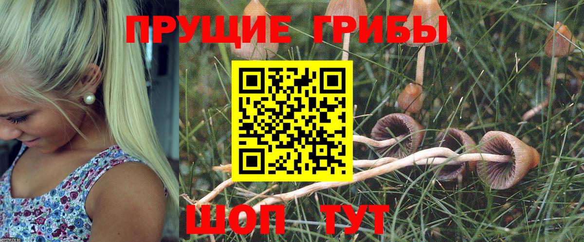 COCAIN  Вход с VPN  МЕФ   Гашиш  Лыткарино  Конопля 