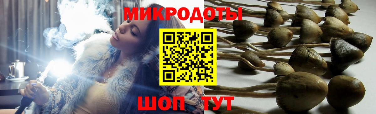 Галлюциногенные грибы Psilocybe  Вход с VPN  Лыткарино 